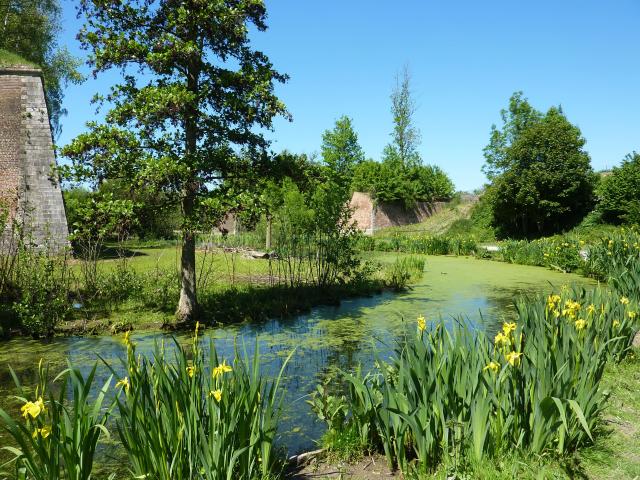 Parc de la Citadelle