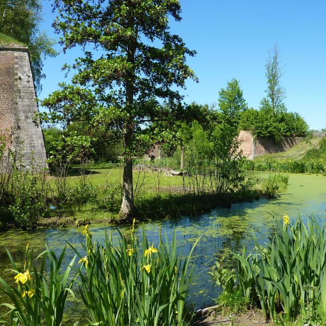 Parc de la Citadelle