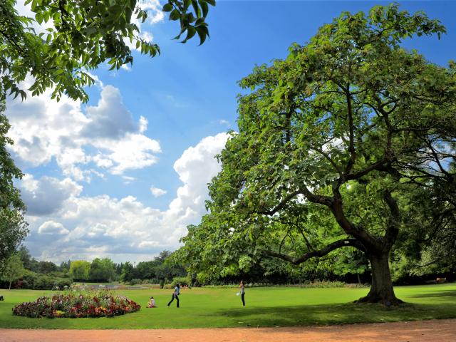 Botanical Garden