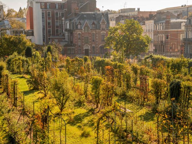 Fruit garden