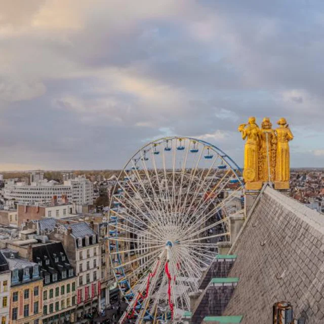 Panoramique Lille Hiver