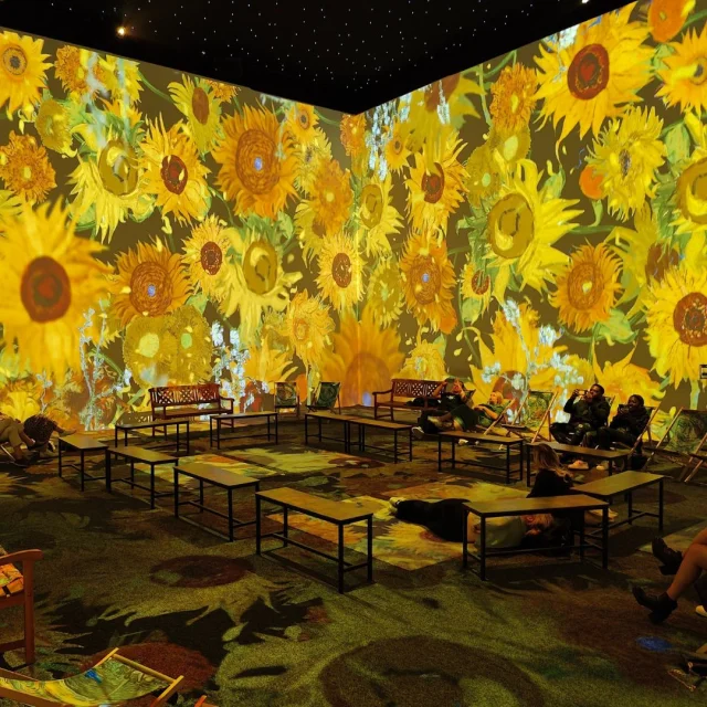 Van Gogh The Immersive Experience